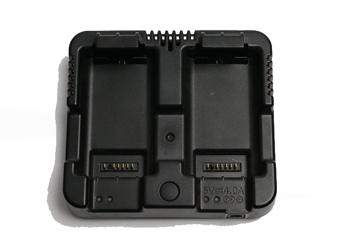 Dual Charger for Li-Ion Batteries