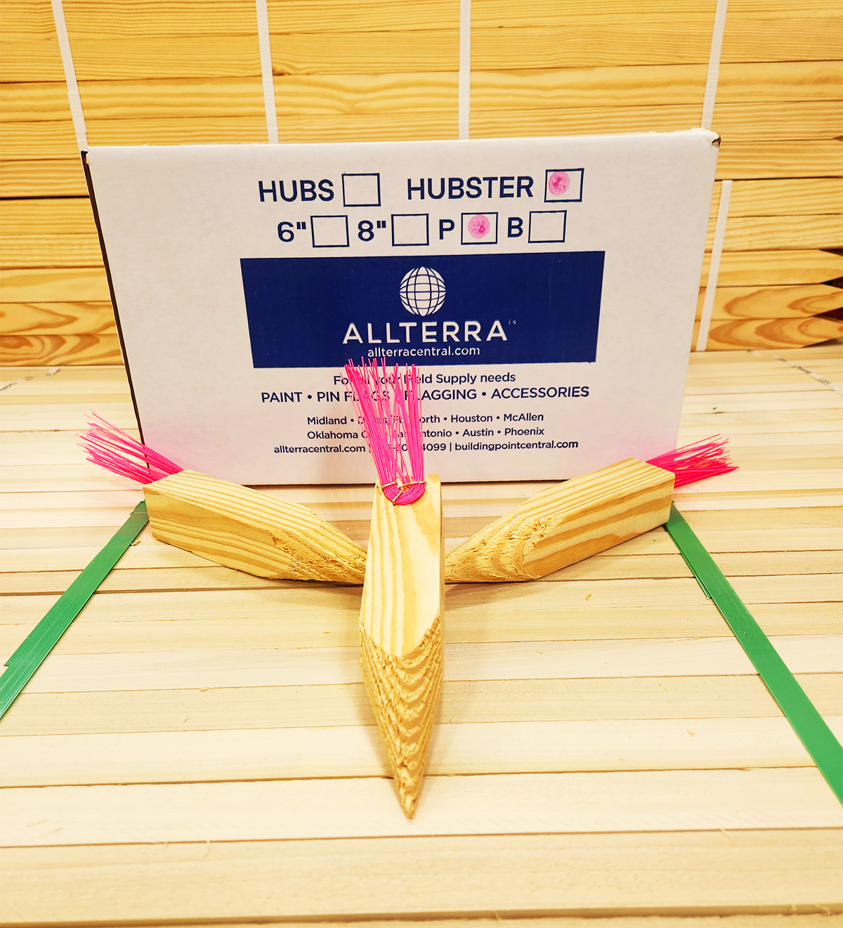 Pink Hubsters - Whiskered Hub Stakes