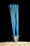 Stake Chaser Whisker Flags