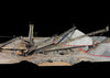 GeoCue TrueView 720